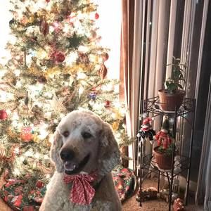 Meet your Posher, Stacy